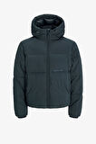 Jack & Jones Jorvesterbro Erkek Yeşil Mont 12260433-ForestRiver