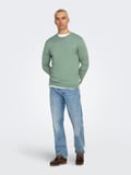 ONSWYLER LIFE REG 14 LS CREW KNIT NOOS Erkek Yeşil Kazak - 22020088