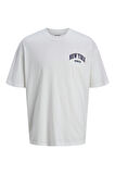 Jack & Jones Erkek T Shirt 12269982