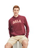 Galatasaray Erkek Sweatshirt 12270179