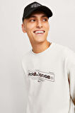 Jack & Jones Alpha Erkek Sweat 12266495
