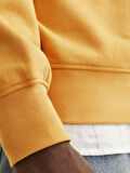 Jack Jones Vesterbro Erkek Sweat 12241777