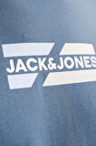 JJECORP GRAPHIC TEE  SS O-NECK NOOS BULUT 