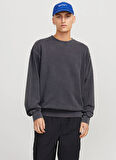 Jack & Jones Erkek Sweatshırt