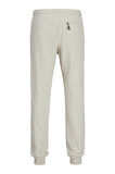JPSTGORDON MATTY SWEAT PANTS TAŞ