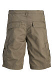 Jack & Jones Erkek Short 12274389