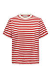 Only Onllivina Stripe Tee Jrs Noos Kadın T-shirt 15272227