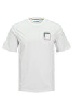 Jack & Jones Erkek T Shirt 12269314