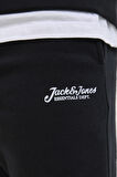 Jack & Jones Erkek Short 12268770