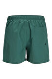 Jack & Jones Erkek Regular Fit Swim Deniz Şortu - 12272776