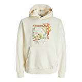 Jack Jones Sweat Hood Lucca Graphic