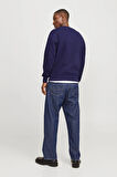 Jack & Jones Erkek Sweat 12241694