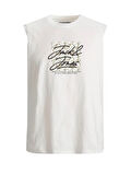 Jack & Jones Erkek Regular Fit Kolsuz Baskılı T-shirt - 12277942