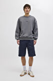 Jack & Jones Erkek Short 12274389
