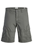 Jack & Jones Erkek Short 12274389