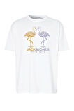 Jack&Jones Jorsplit Gradient Tee Erkek Çocuk T-shirt 12278347