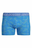 Jack Jones Canvey 10 Lu Paket Erkek Boxer 12277796
