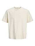 Jack Jones Racapulco Mınımal Brandıg Loose Fıt Erkek Tişört 12277181