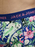 Jack Jones Jacfred Flamıngo Trunks 2 Pack Sn Boxer 12283386