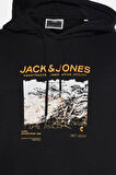 Jack & Jones Erkek Sweat 12284474