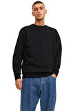 Jack & Jones Jjebradley Erkek Sweatshirt