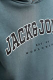 Jack & Jones Çocuk Jjecaleb Sweatshirt