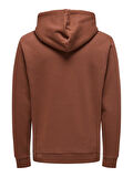 ONSDAWSON REG HOODIE VD 