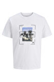 Jack & Jones Erkek T Shirt 12286113