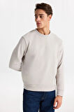 Jack & Jones Erkek Jcostance Bisiklet Yaka %100 Pamuk Sweatshirt 12282821 Taş