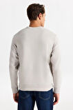 Jack & Jones Erkek Jcostance Bisiklet Yaka %100 Pamuk Sweatshirt 12282821 Taş