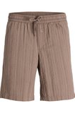 Jack & Jones JPSTJAIDEN Tyson Erkek Jogger Şort Rahat Kesim Günlük Yazlık Şort 