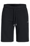 Jack Jones Gordon Regular Fit Erkek Şort 12289726