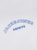 Jack Jones College Logo Regular Fit Erkek Polo Yaka Tişört 12288360