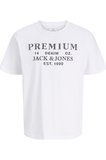 Jack & Jones JPRBLUCALVIN SS Tee Erkek Kısa Kollu Basic T-Shirt Pamuklu 