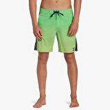 Billabong D Bah Lo Tide Erkek Yeşil Mayoşort