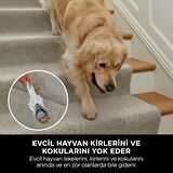 Shark StainStriker – Pet Başlıklı, Koltuk Yıkama ve Leke Çıkarma Makinesi