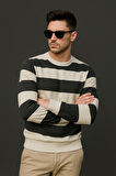 Çizgili Bisiklet Yaka Sweatshirt Yumuşak Pamuklu Kumaş Rahat Casual Kombinler İçin Modern Stil