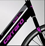 Carraro Active 282 28 Jant 21 Vites Gri Mor Şehir Bisikleti