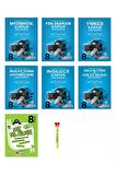 LGS 8.Sınıf Soru Bankası Full Set (7 kitap)