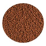 Tropical Red Parrot Gran Açık 250gr