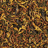 Tropical Soft Line Carnivore 1000 Gram Kovadan Bölme