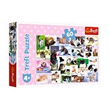 Trefl Hayvanlar 60 Parça Çocuk Puzzle