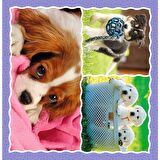 Trefl Puzzle Lovely Dogs 3 in 1 3+ Yaş Büyük Boy Puzzle 20 - 36 - 50 Parça