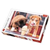 Trefl Hayvanlar 500 Parça Yetişkin Puzzle