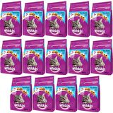 Whiskas Whıskas® Ton Balıklı Kuru Kedi Maması 1+ Yaş 300 Gram (14 Adet)