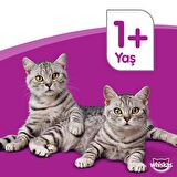 Whiskas Tavuk Etli Kedi Konservesi 400 gr (24 ADET)