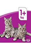 Whiskas Gravy Soslu Somonlu 85 gr 28'li Yetişkin Kedi Yaş Maması