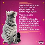 Whiskas Ton Balıklı Yetişkin Kedi Konserve Yaş Maması 24X400 gr (Yeni)