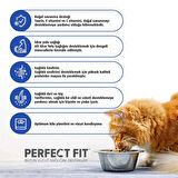 PERFECT FİT ADULT ACTİVE BF  DE/AT/NL 1400 GR