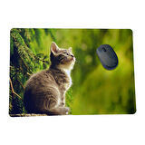 Rakkun Shop - Kedi ve Kelebek Baskılı MousePad (28x40 cm)